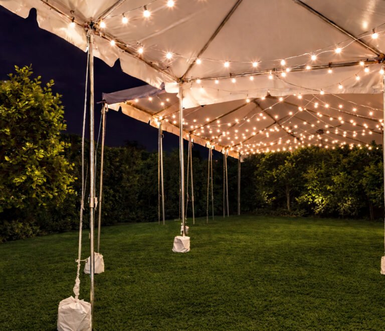 image 2026 03 07 221259650 edited