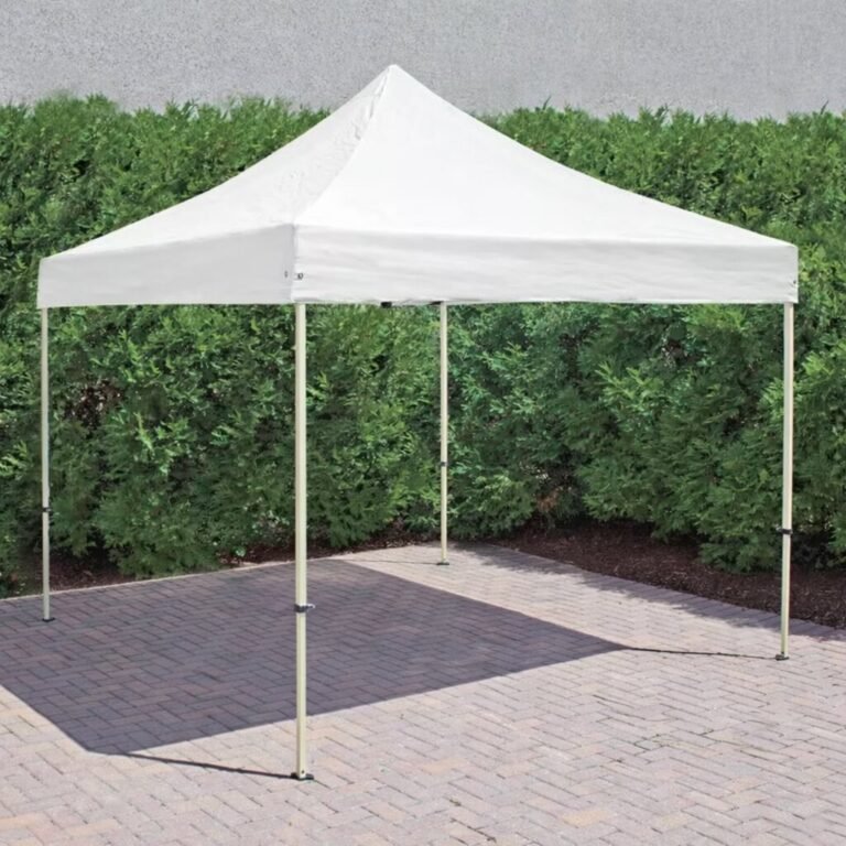 image 2026 03 13 025401765