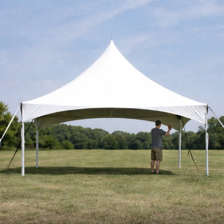 image 2026 03 13 031136345