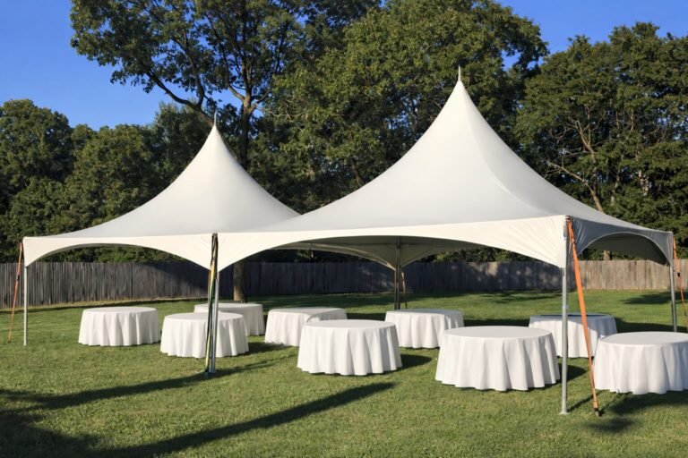 image 2026 03 13 032004035